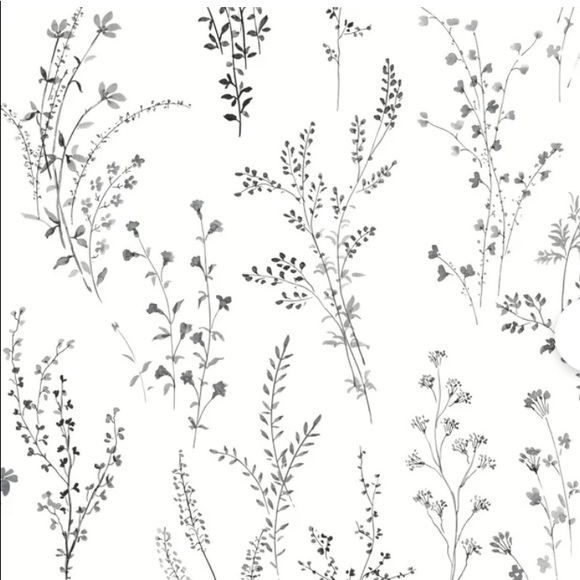 Meet your Posher, Rowen - Picture 1 of 1